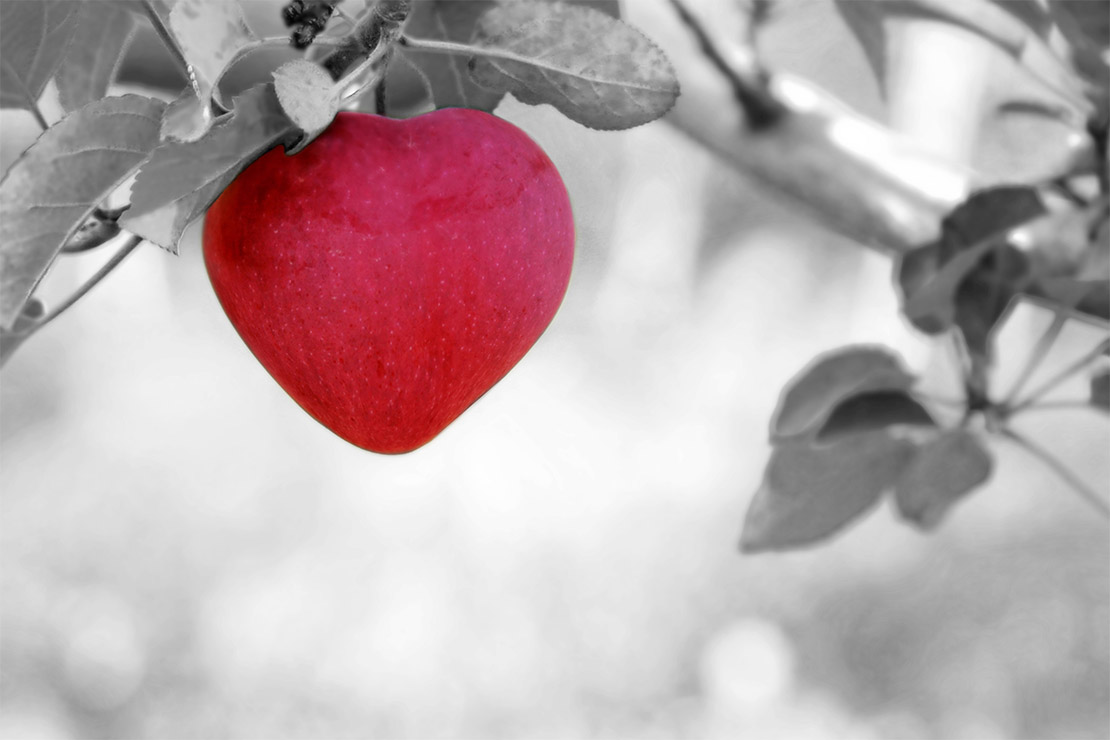 maça vermelha em formato de amor para o tratamento alternativo ao alzheimer