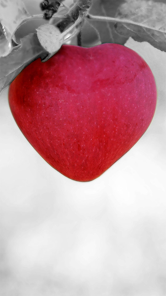 Maça vermelha em formato de amor no tratamento alternativo do alzheimer