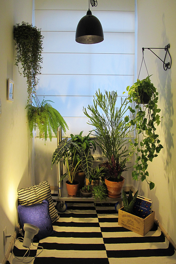 decoracao com plantas-carro-plataforma-palmetal
