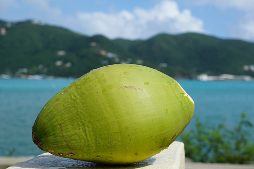 Coco em fundo de praia e mar